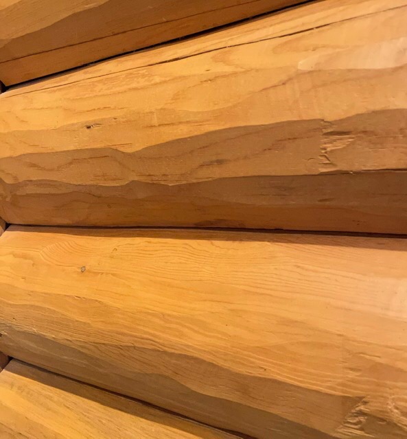 How Do You Build a Log Cabin?