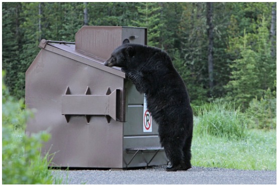 What Should I Do When the Trash Is Full?