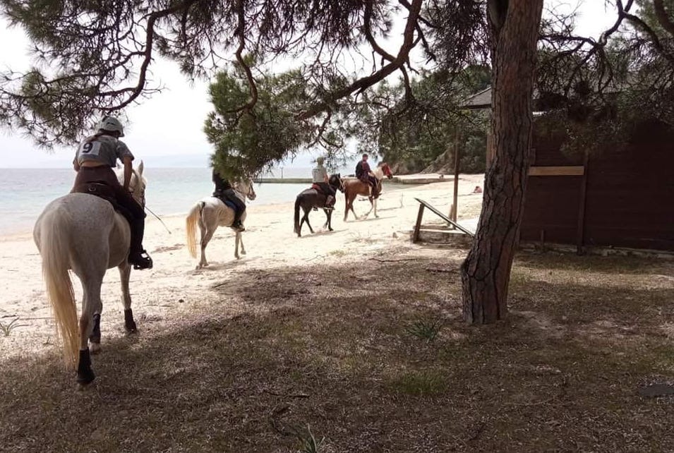 Horse Riding Fun for both Grownups & Kids on Skiathos Island, Greece