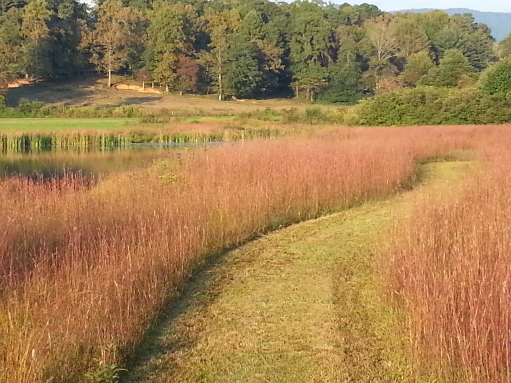 Fall's Fashion Show!