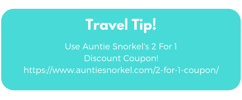 Auntie Snorkel. The Best Place To Rent Snorkel And Beach Gear On Maui