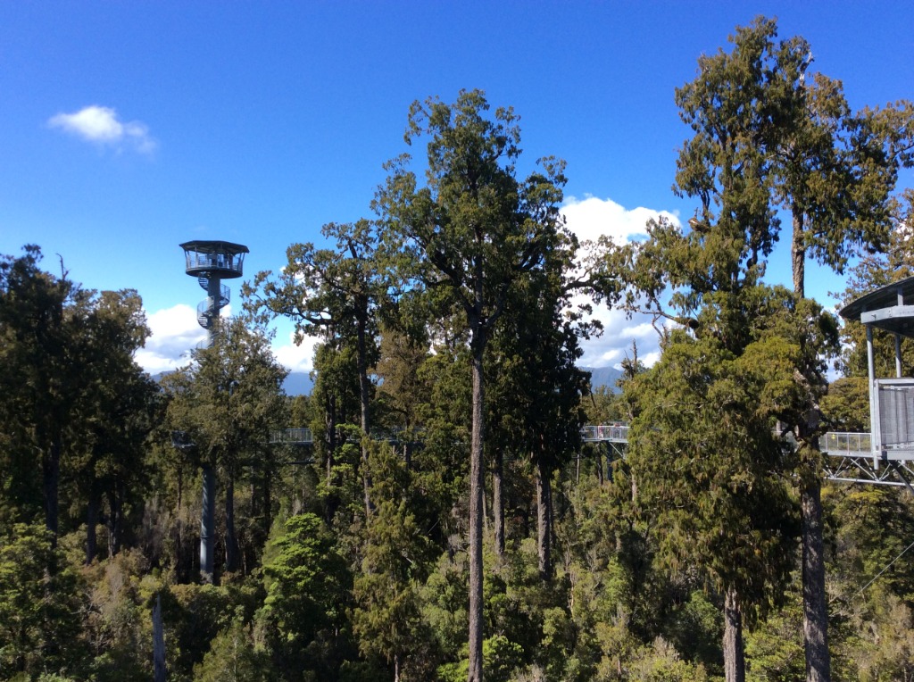 A Visit To The West Coast Of The South Island Is A MUST DO!