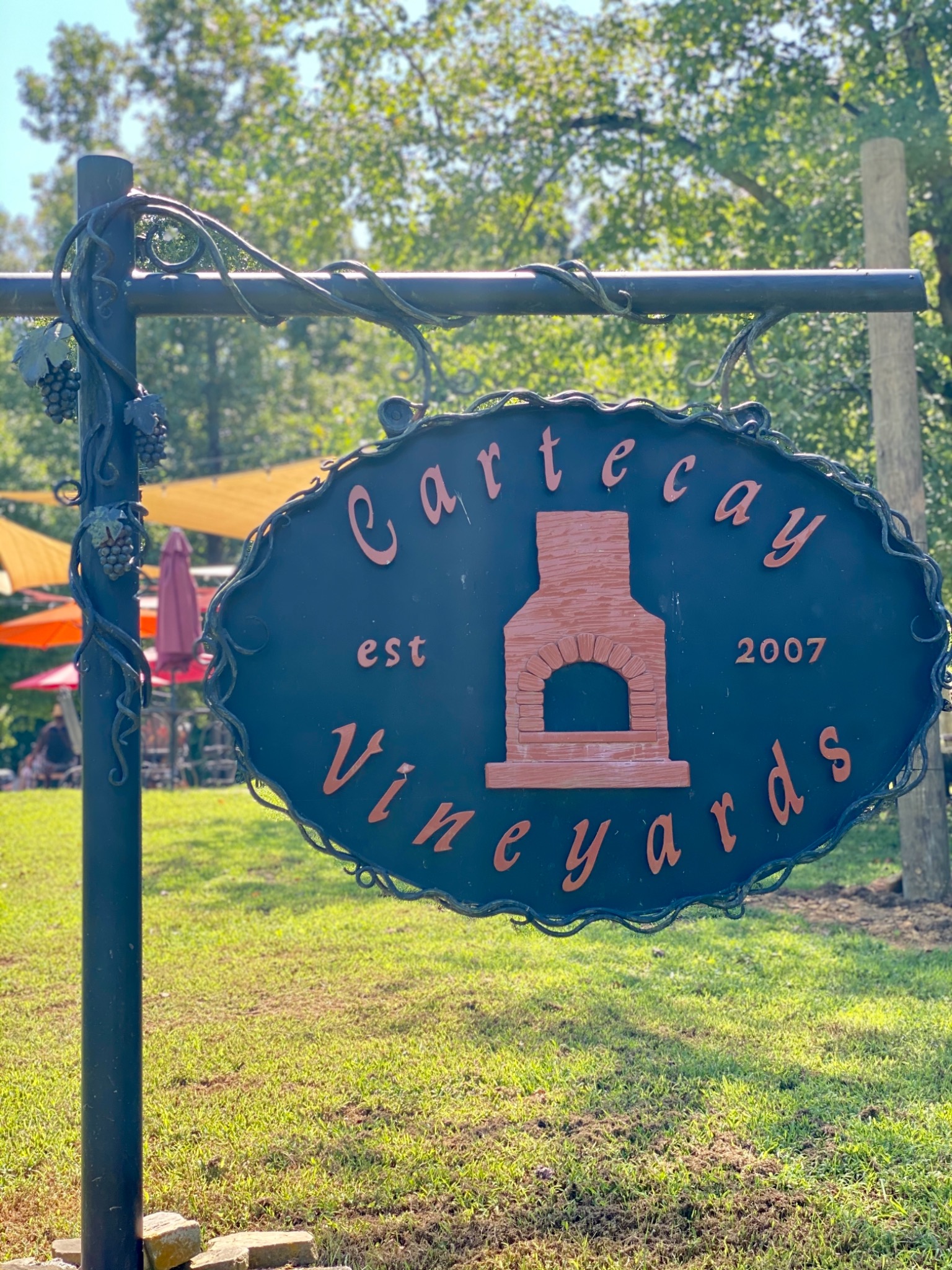 Wineries around Ellijay in North Georgia