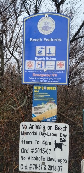 Beach Time Rules and Regs