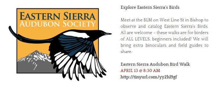 What to do in Mammoth Lakes April 7-14