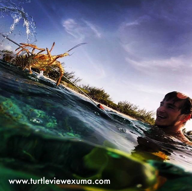 Lobster Season is Upon Us!