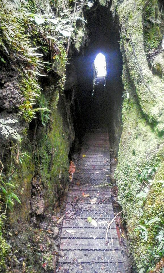 The Best Walks In Hokitika