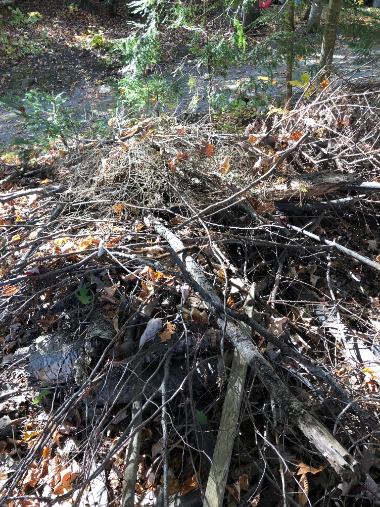 Campfires ~ How To Build A Success