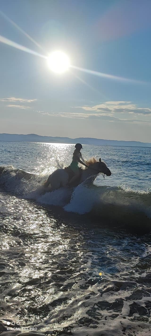Horse Riding Fun for both Grownups & Kids on Skiathos Island, Greece