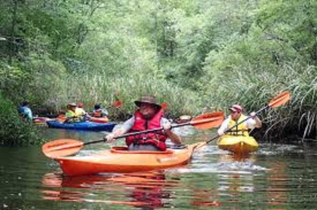 Charters Rental and Tours