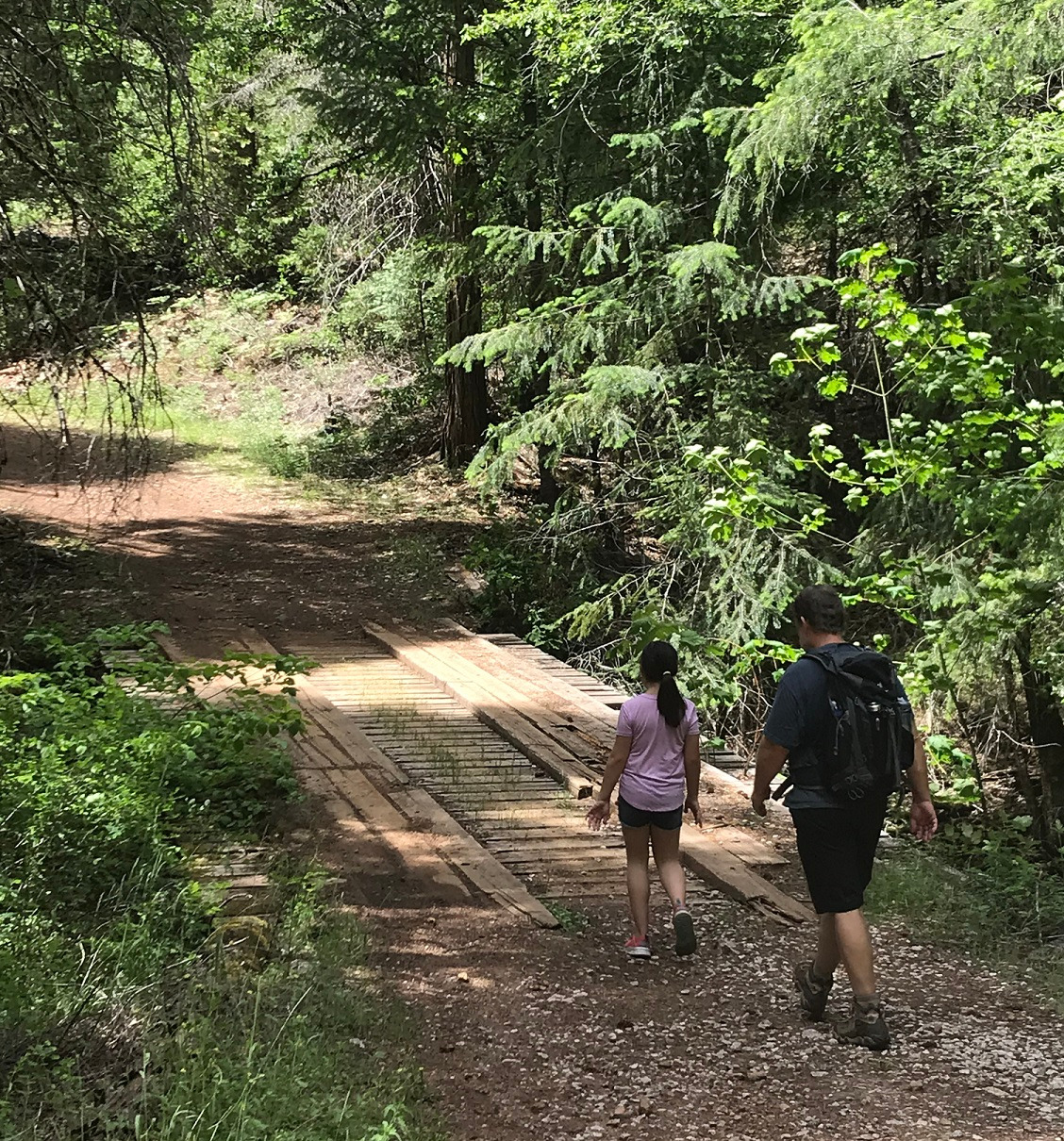 Stagecoach Trail (South Fork Consumnes River) - Part 1