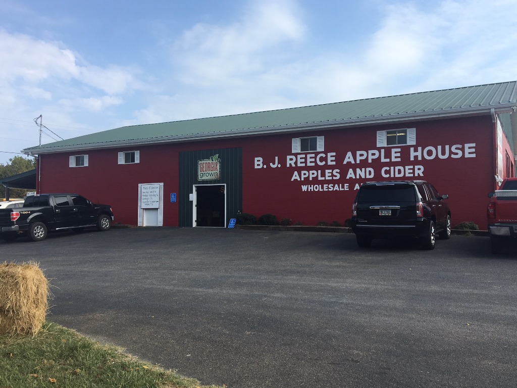 Apples, apples, apples