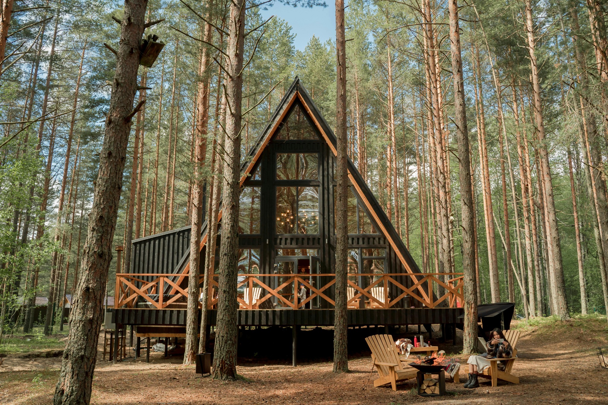 Forest Rentals: Cozy Retreats in Nature