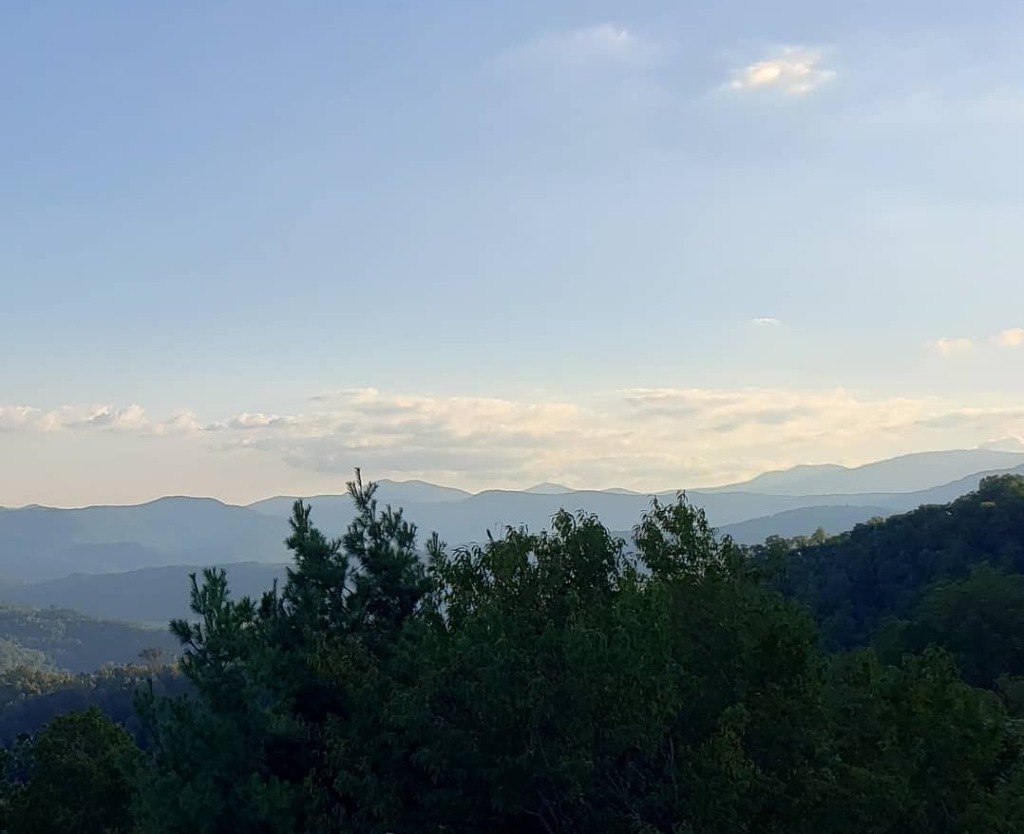 Labor Day Wknd Guest Photos