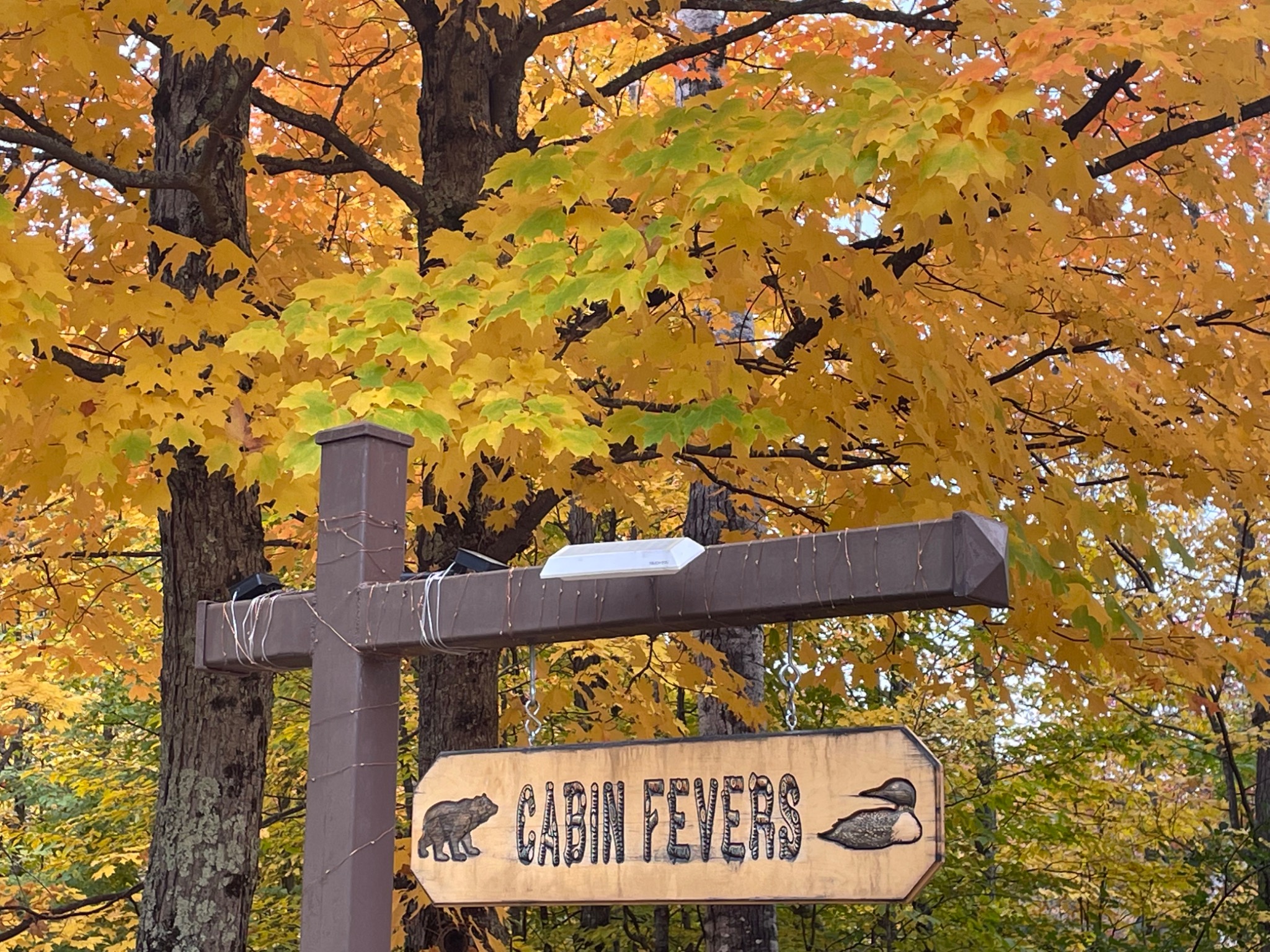 Sauna nights, northern lights, and fall colors at Cabin Fevers 🍂✨