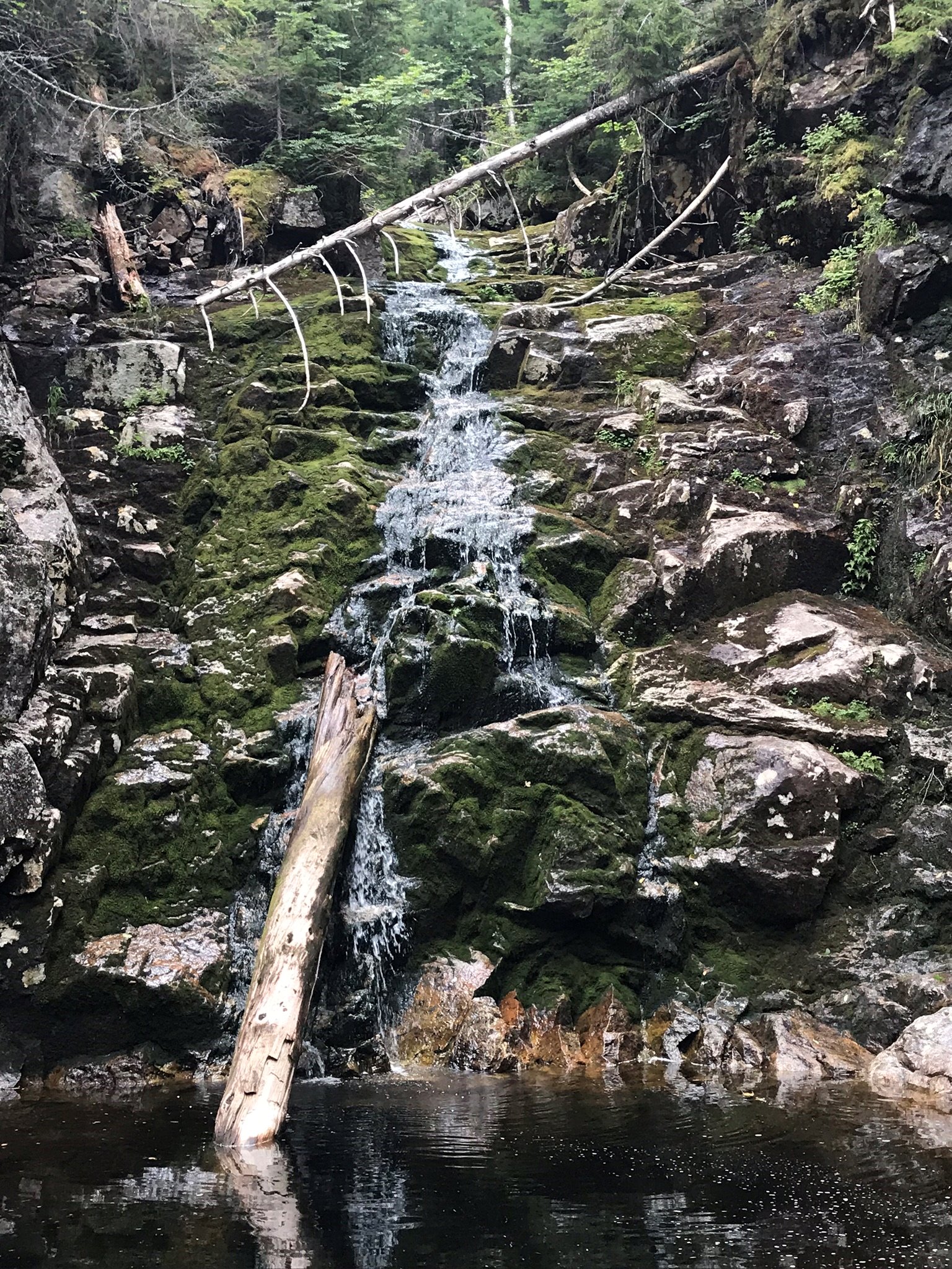 Mt. Jackson and Webster Loop Trail