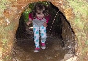 The Best Walks In Hokitika