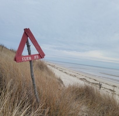 Beach Time Rules and Regs