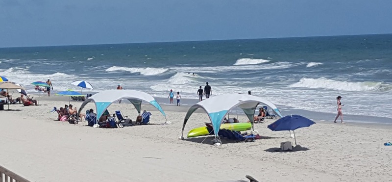 Charters Rental and Tours