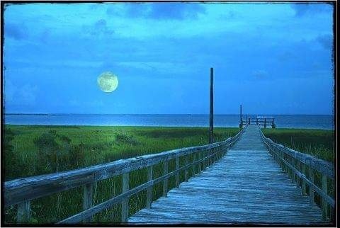 Beach Time! Discover The Forgotten Coast of the Florida Panhandle