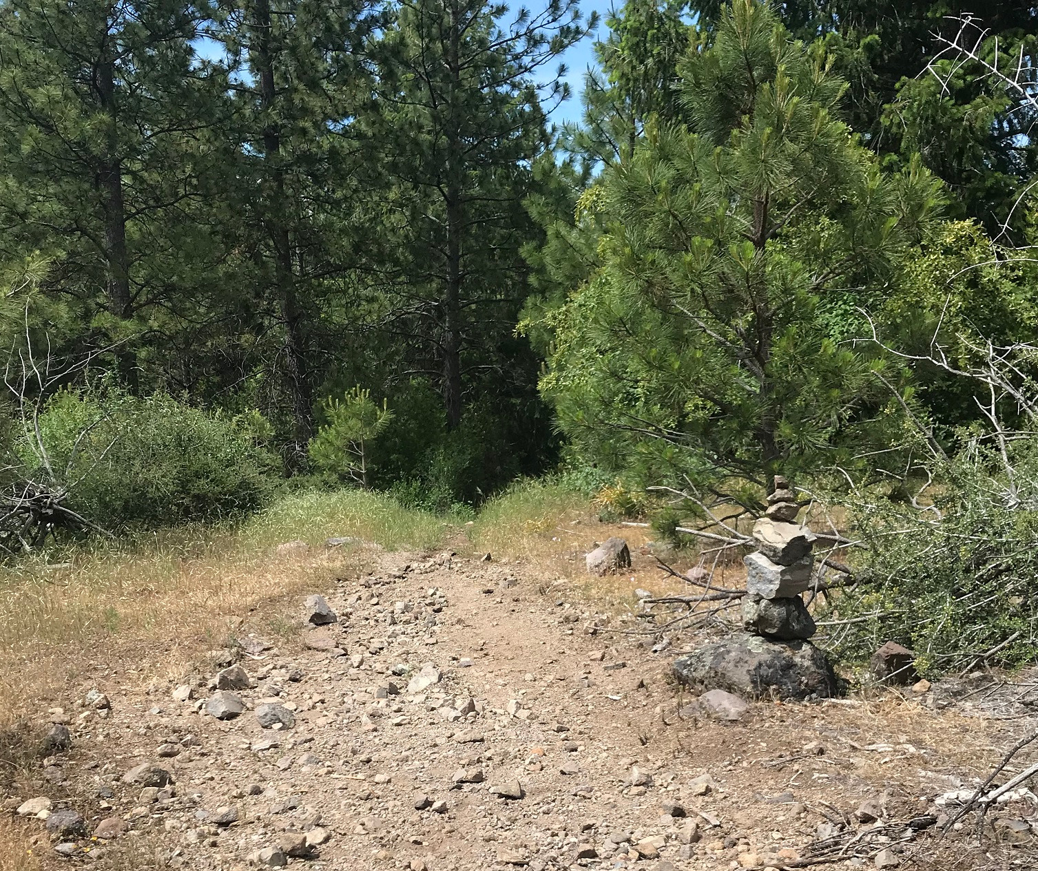 Stagecoach Trail (South Fork Consumnes River) - Part 1