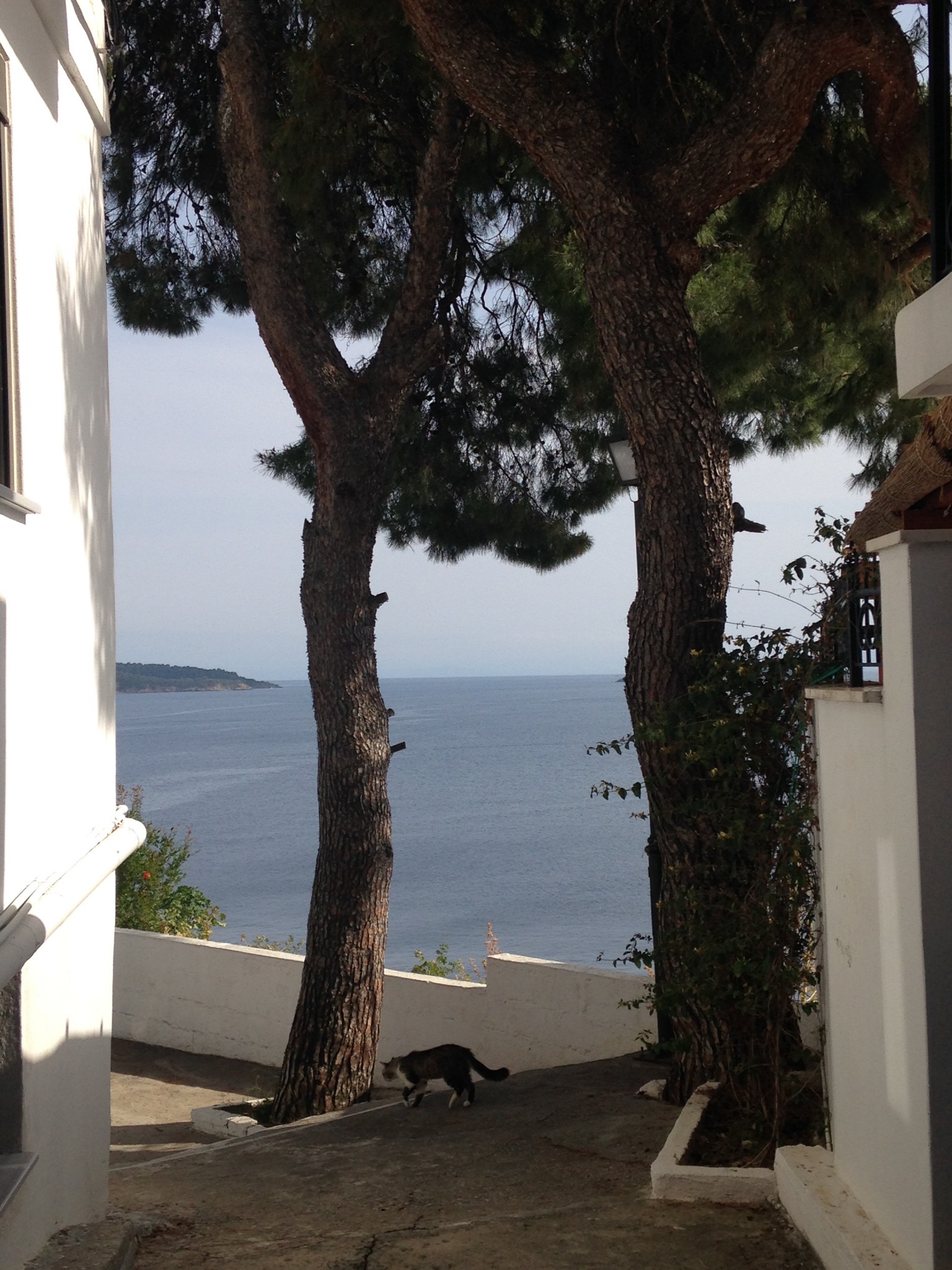 Skiathos Old Town Plakes Neighbourhood