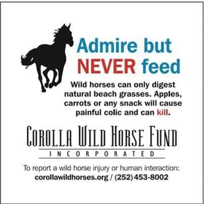 Corolla Wild Horses