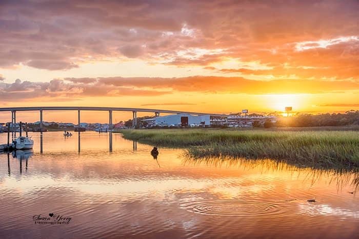 Why visit Golden Holden?