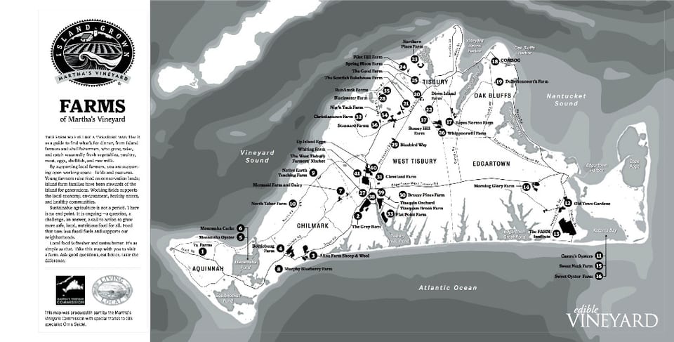 The Farms of Martha's Vineyard