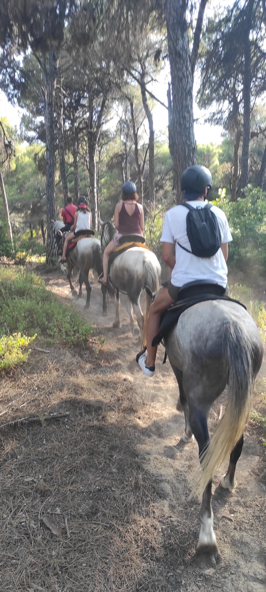 Horse Riding Fun for both Grownups & Kids on Skiathos Island, Greece