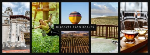 Discover the Best Things to Do in Paso Robles