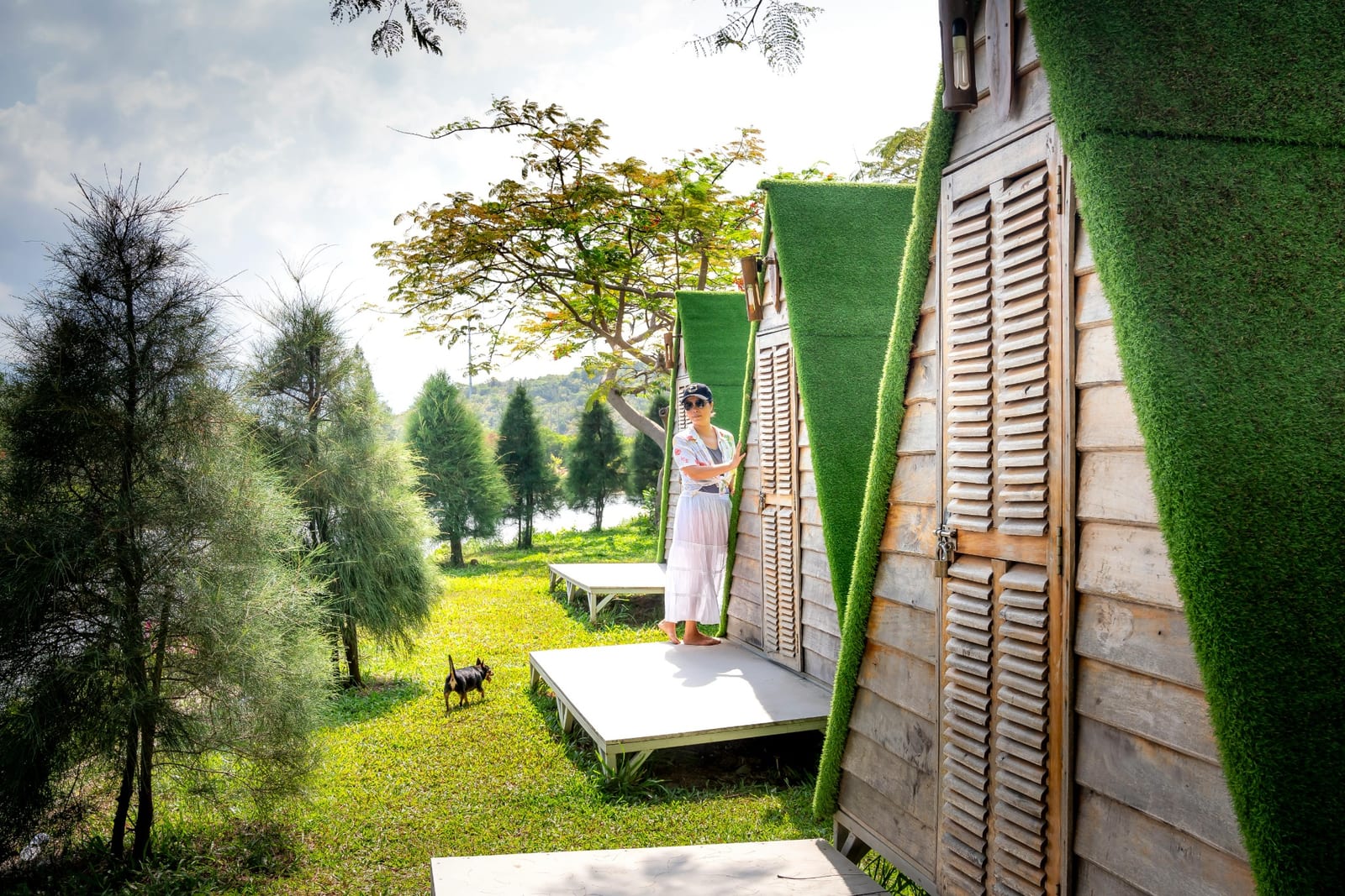 Traveling With Pets: Pet-friendly Rentals for Furry Companions
