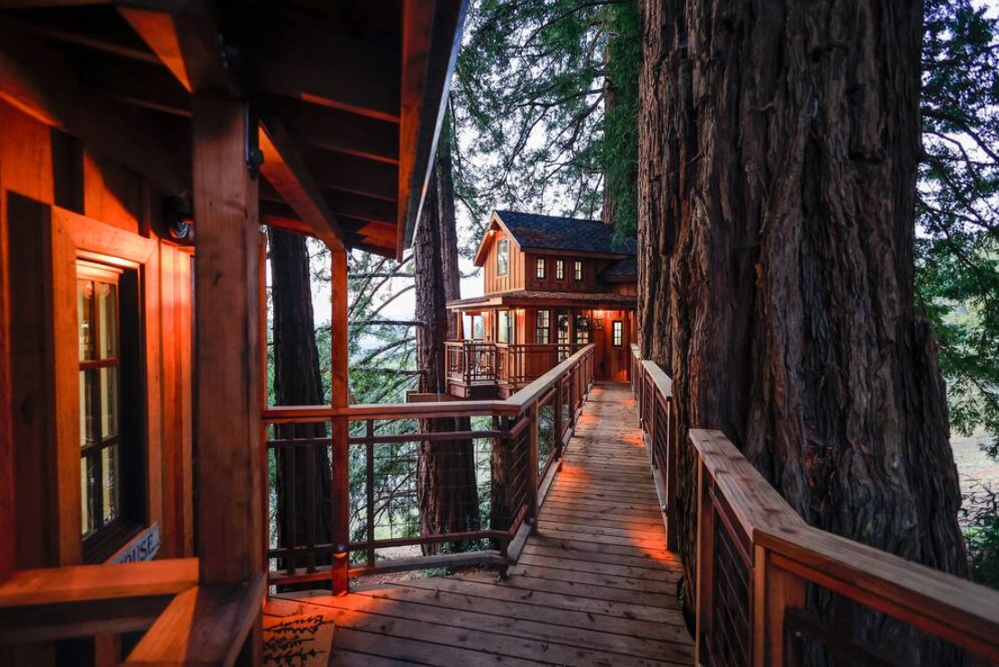 Top 8 Treehouses You Won't Believe Exist