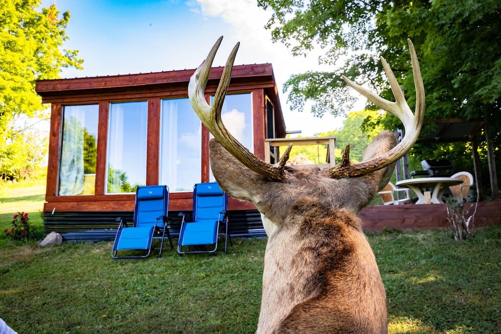 Best Fall Vacation Rentals for Couples Looking for a Cozy Getaway