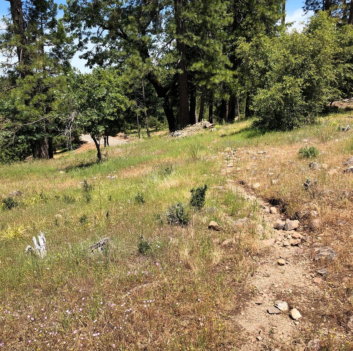 Stagecoach Trail (South Fork Consumnes River) - Part 1