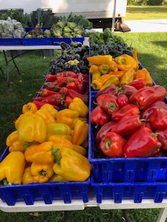 Ludlow's Farmers' Market