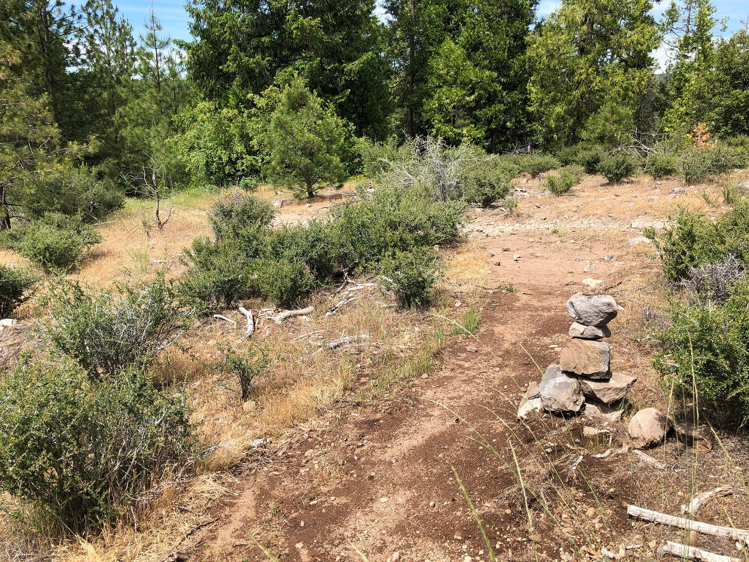 Stagecoach Trail (South Fork Consumnes River) - Part 1