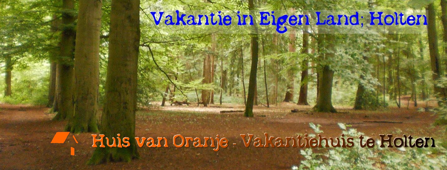 10 compelling reasons why you should vacation in Holten, The Netherlands