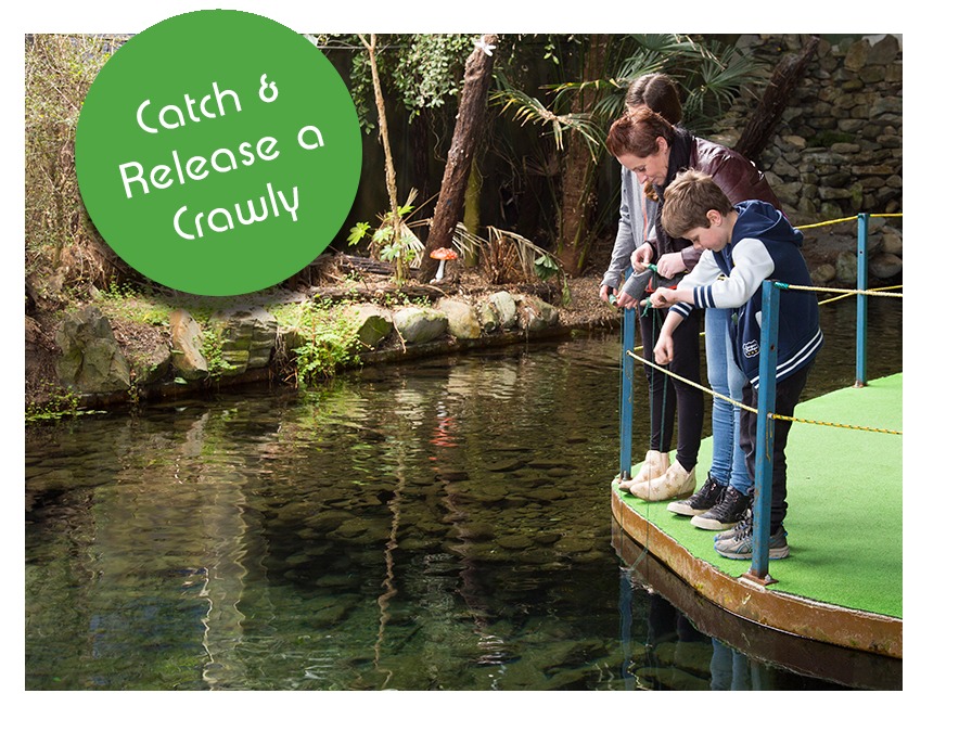 Top 10 Things to Do with Kids in Hokitika