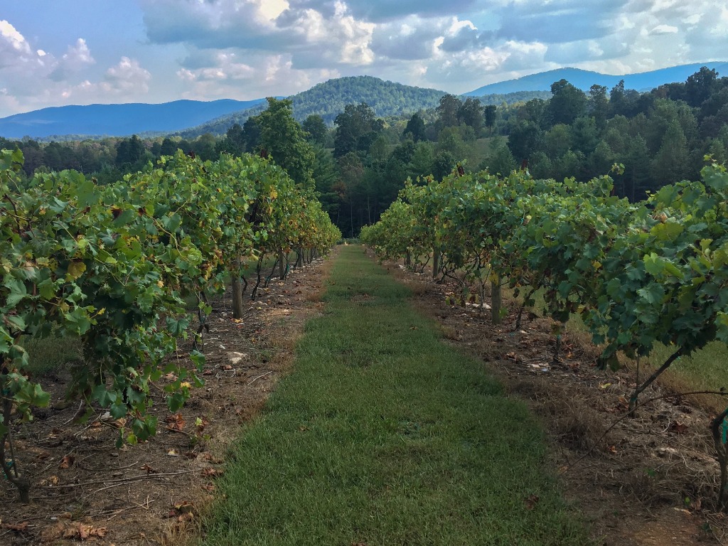 North Georgia Wineries and Vineyards