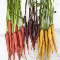 Organic Food Shopping