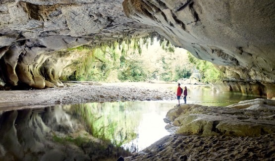 A Visit To The West Coast Of The South Island Is A MUST DO!