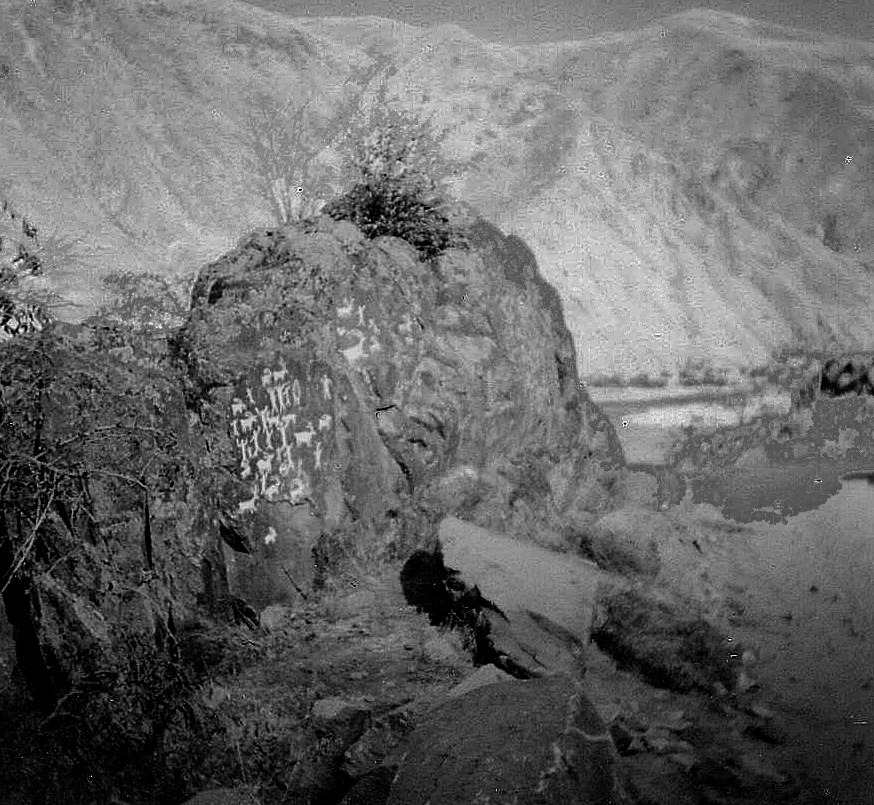 Petroglyphs near Clarkston, WA