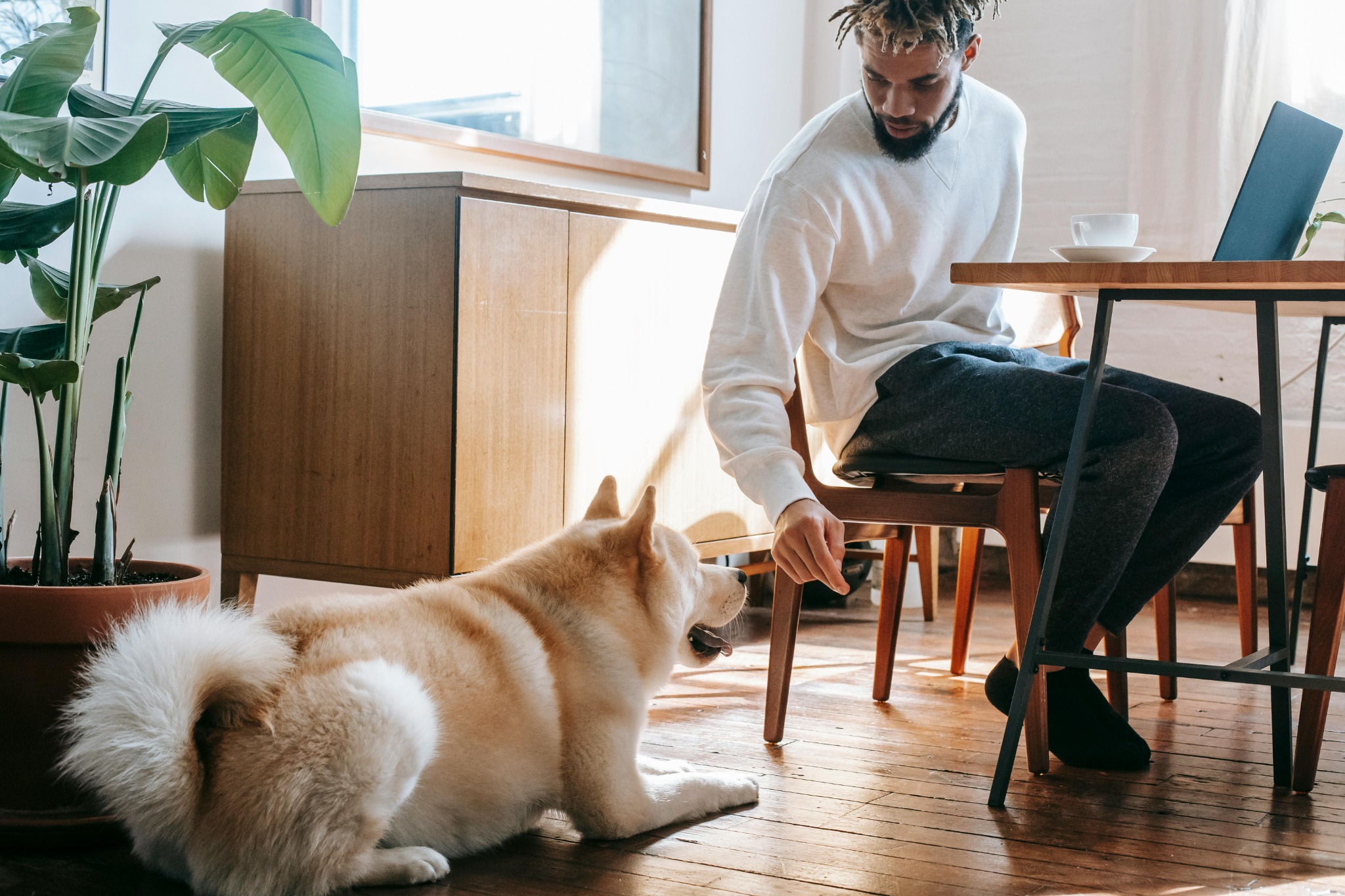 How to Make Your Vacation Rental Pet-friendly: Tips for Hosts