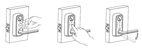 Check-in Instructions