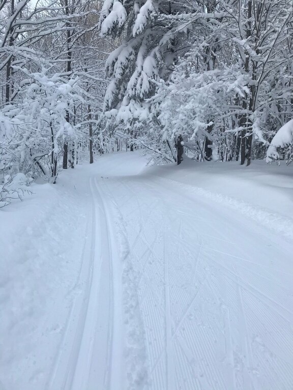 Winter Adventures Await at Cabin Fevers Near Big Powderhorn