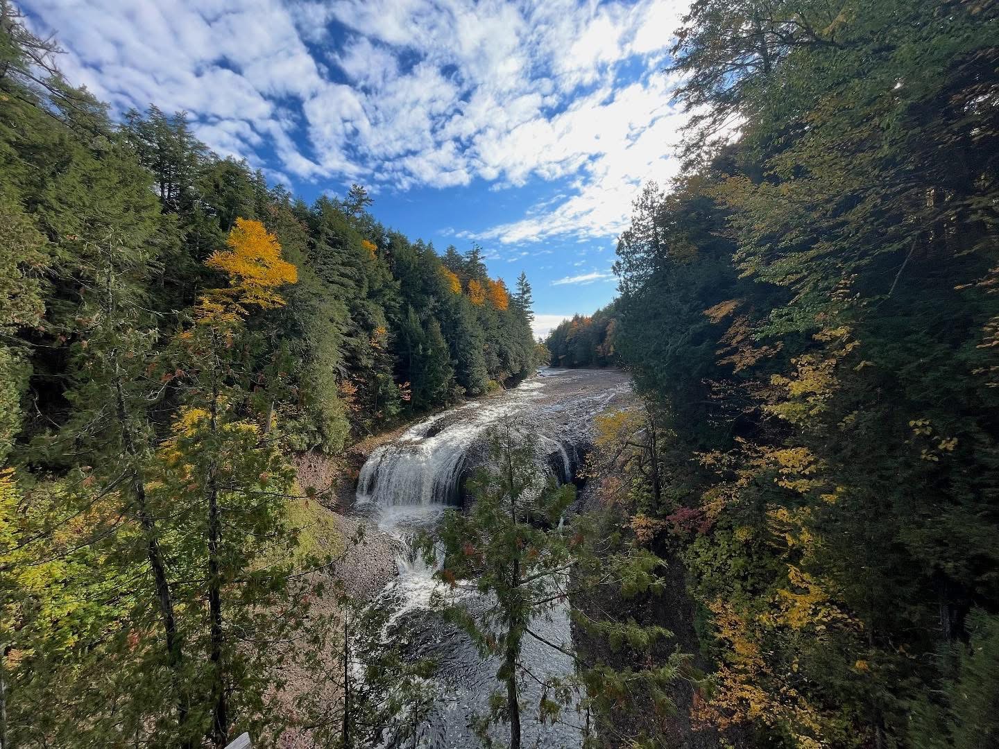 Fall Colors, Lodge Life 🍁🐾