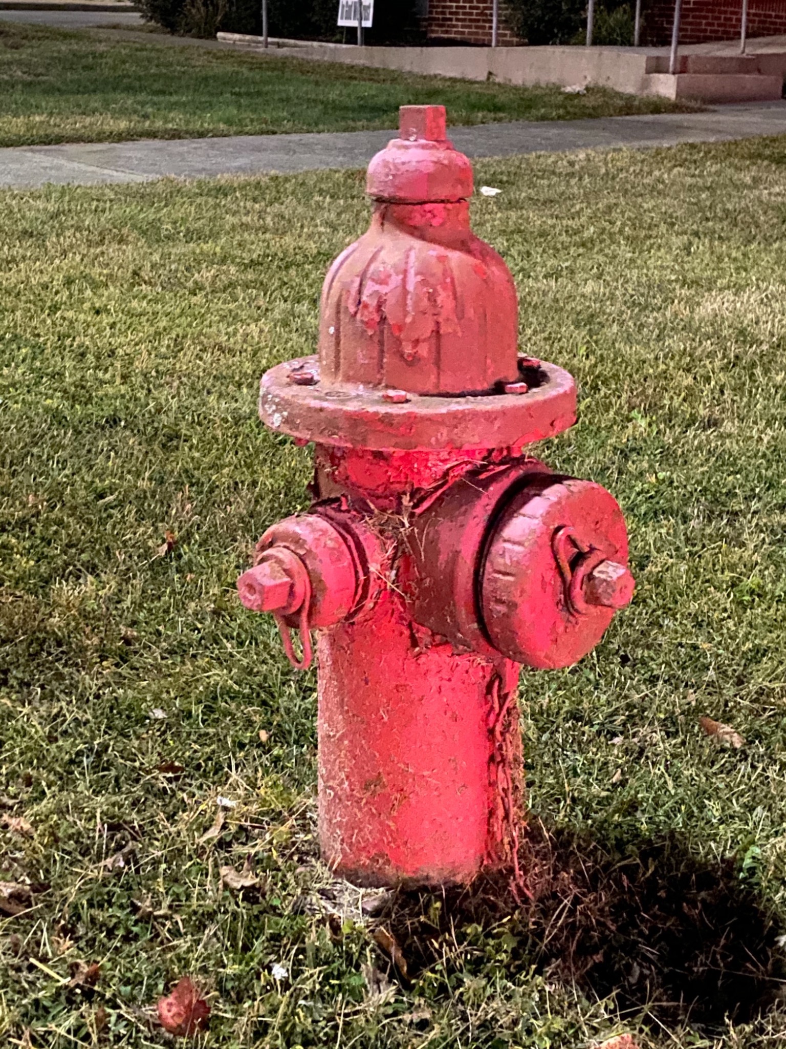 Scavenger Hunt - Ellijay, GA