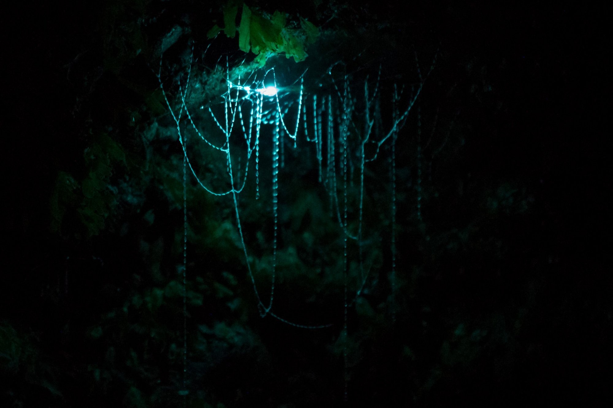 Top 10 Things to Do with Kids in Hokitika