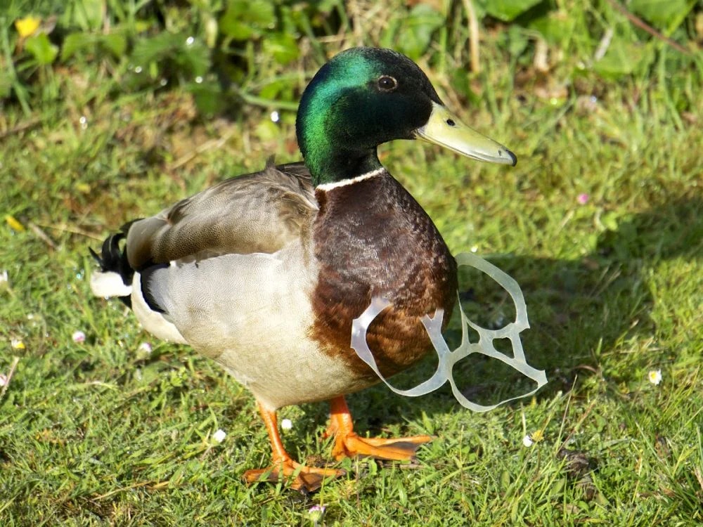 NJ's Plastic Use Reduction Law